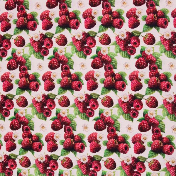 Dekodruck Matteo Himbeeren von Swafing